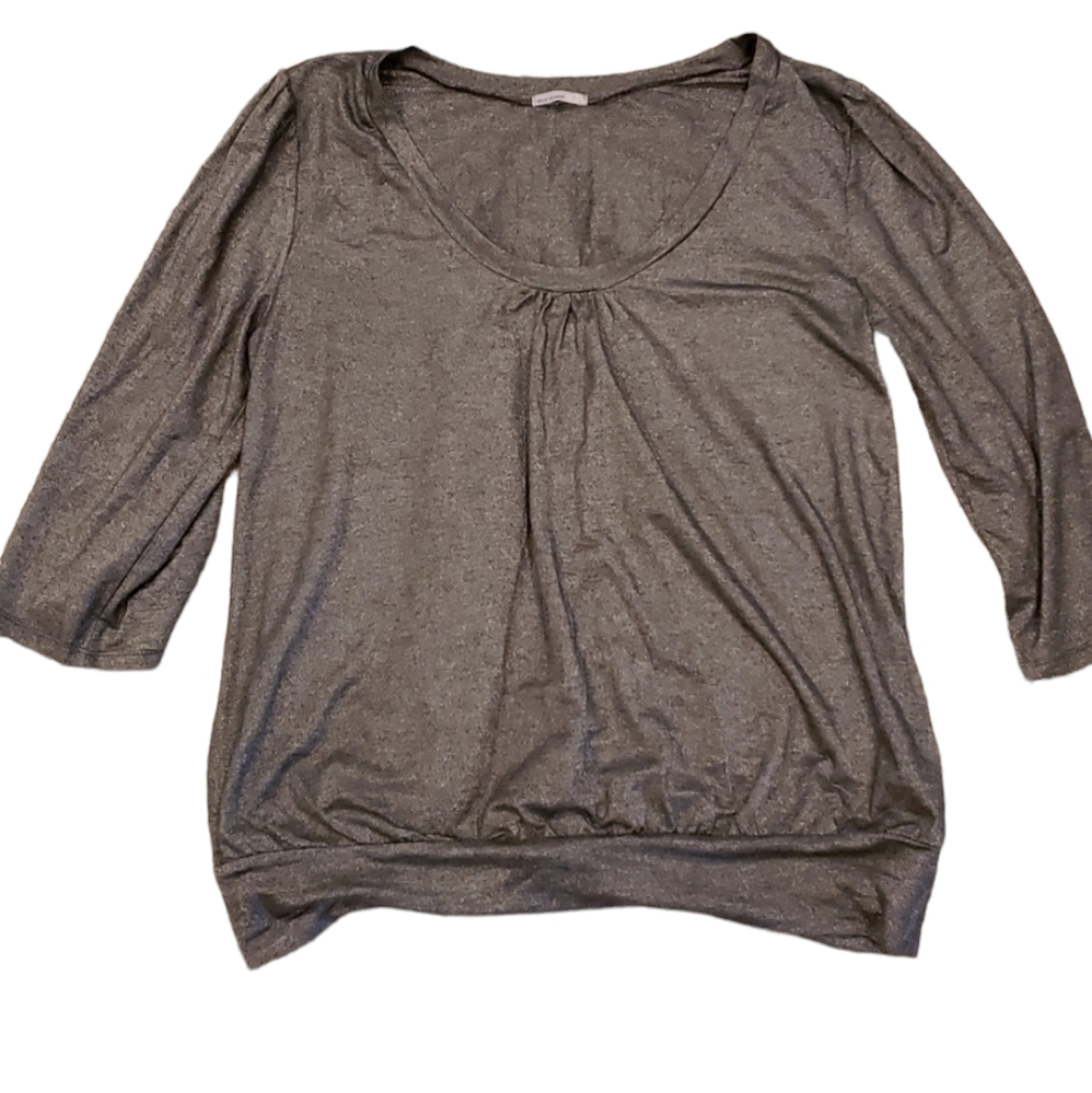 NWOT silver shiny shirt